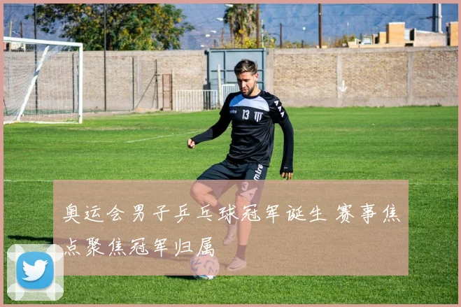 奥运会男子乒乓球冠军诞生 赛事焦点聚焦冠军归属