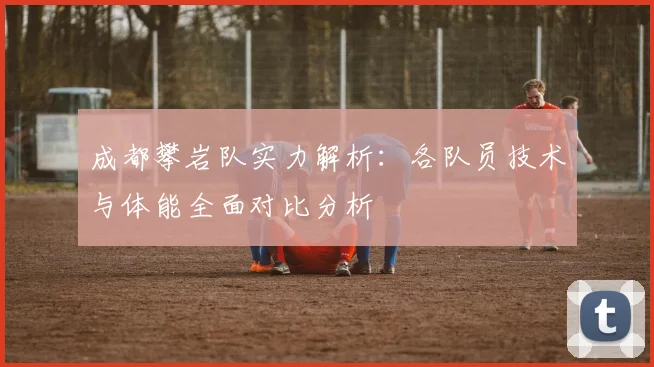 成都攀岩队实力解析：各队员技术与体能全面对比分析